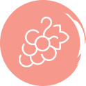 Le vin rosé
