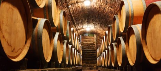 Vignerons de Buzet